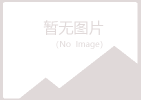 白银平川匆匆能源有限公司